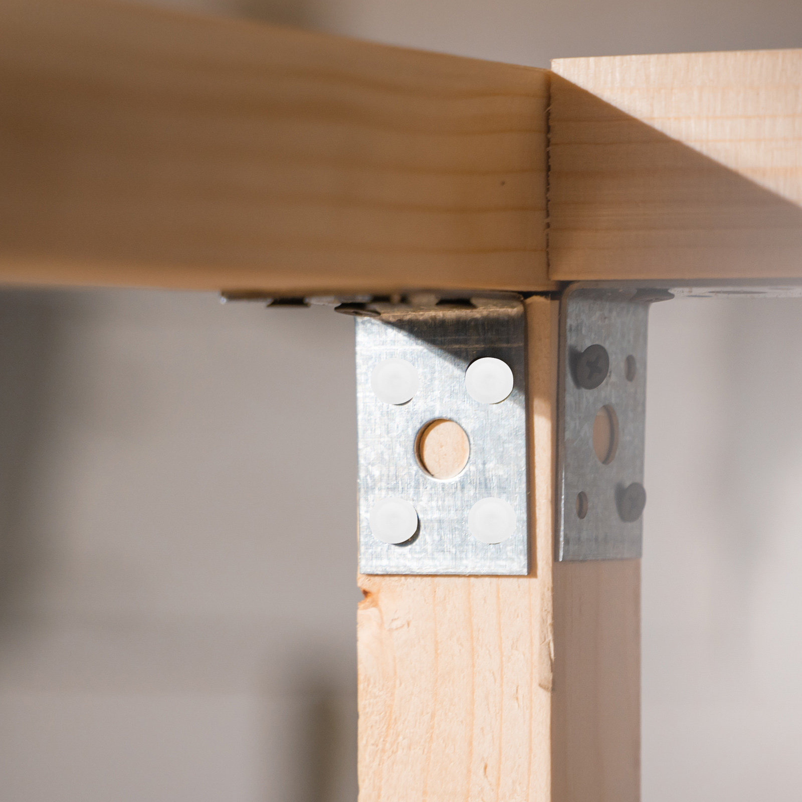 Woodworking Kitchen Projects - 200 stuks witte kunststof schroefafdekkingen, ronde