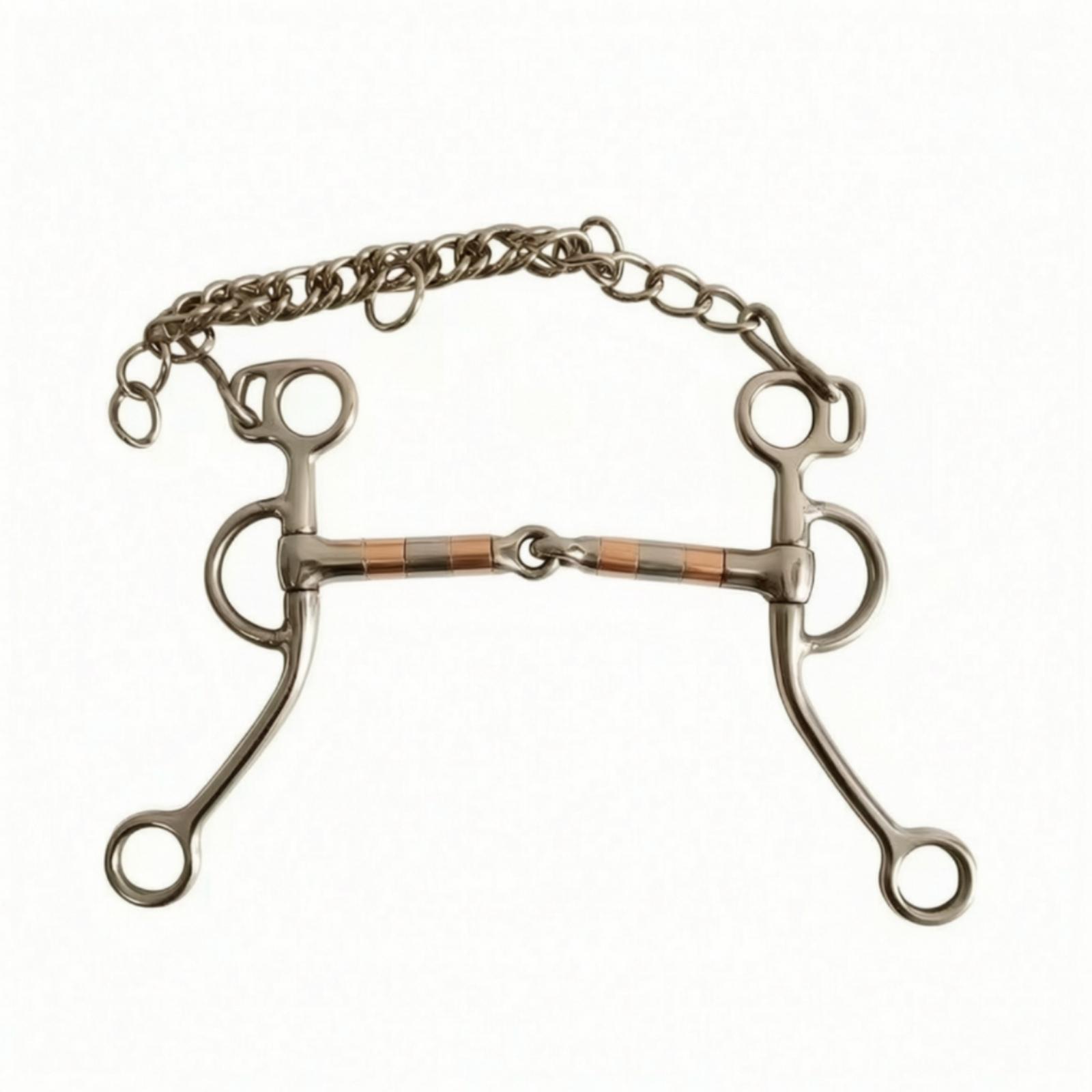 Woodworking Joints - Paardenbit met ketting, roestvrij staal, verbonden