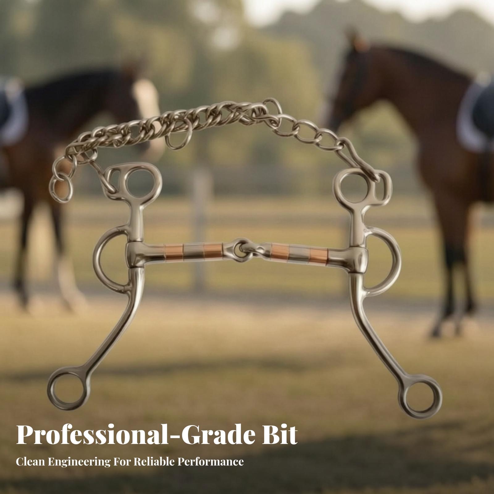 Paardenbit met ketting, roestv - Woodworking Joints recensie en prijs