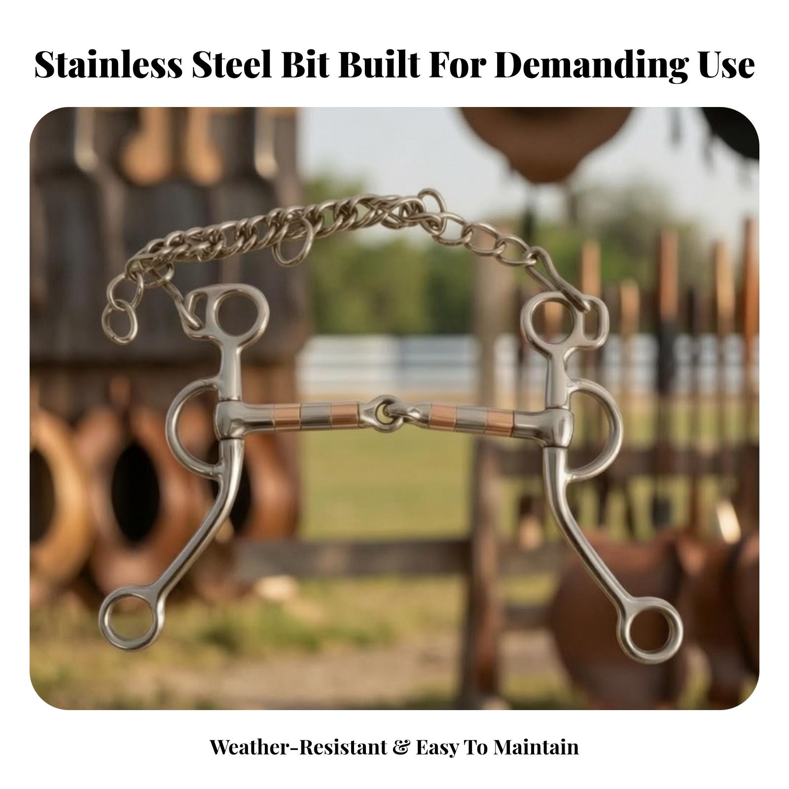 Paardenbit met ketting, roestv - Woodworking Joints recensie en prijs