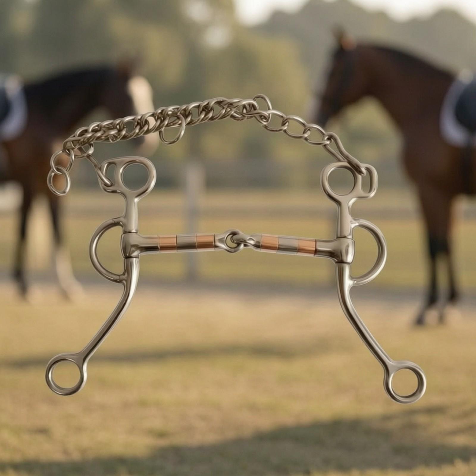 Paardenbit met ketting, roestv - Woodworking Joints recensie en prijs